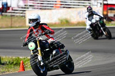 media/Apr-13-2024-Classic Track Day (Sat) [[9dd147332a]]/Group 3/Session 1 (Turn 4)/